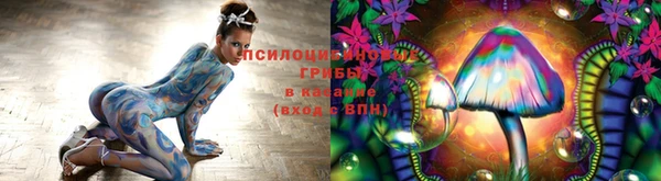 кокс Богородск