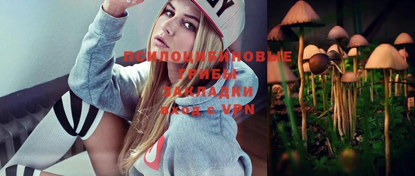 МДПВ Аркадак