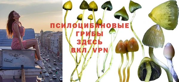 винт Баксан