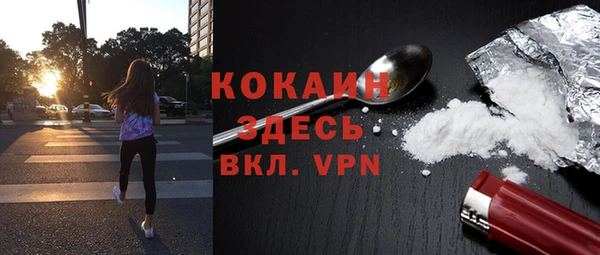 хмурый Богородицк