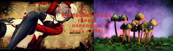 каннабис Арсеньев